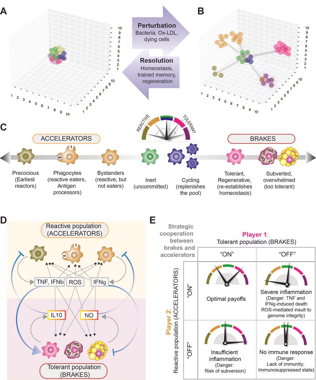 Macrophage states: there's a method in the madness